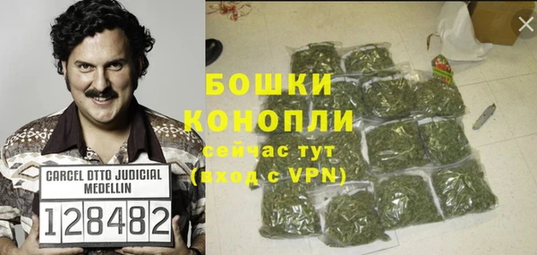 прущие грибы Щигры