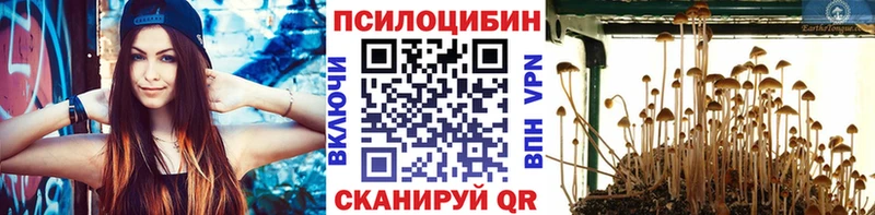 Купить закладки  Кореновск  Галлюциногенные грибы MAGIC MUSHROOMS 