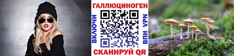 Псилоцибиновые грибы Psilocybe Кореновск